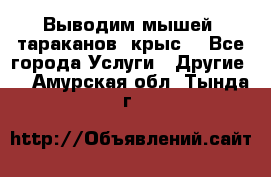 Выводим мышей ,тараканов, крыс. - Все города Услуги » Другие   . Амурская обл.,Тында г.